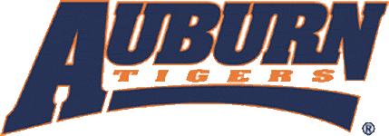 Auburn Tigers 1998-2003 Wordmark Logo v2 iron on transfers for fabric